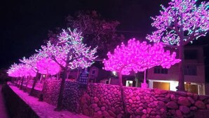 住宿场地