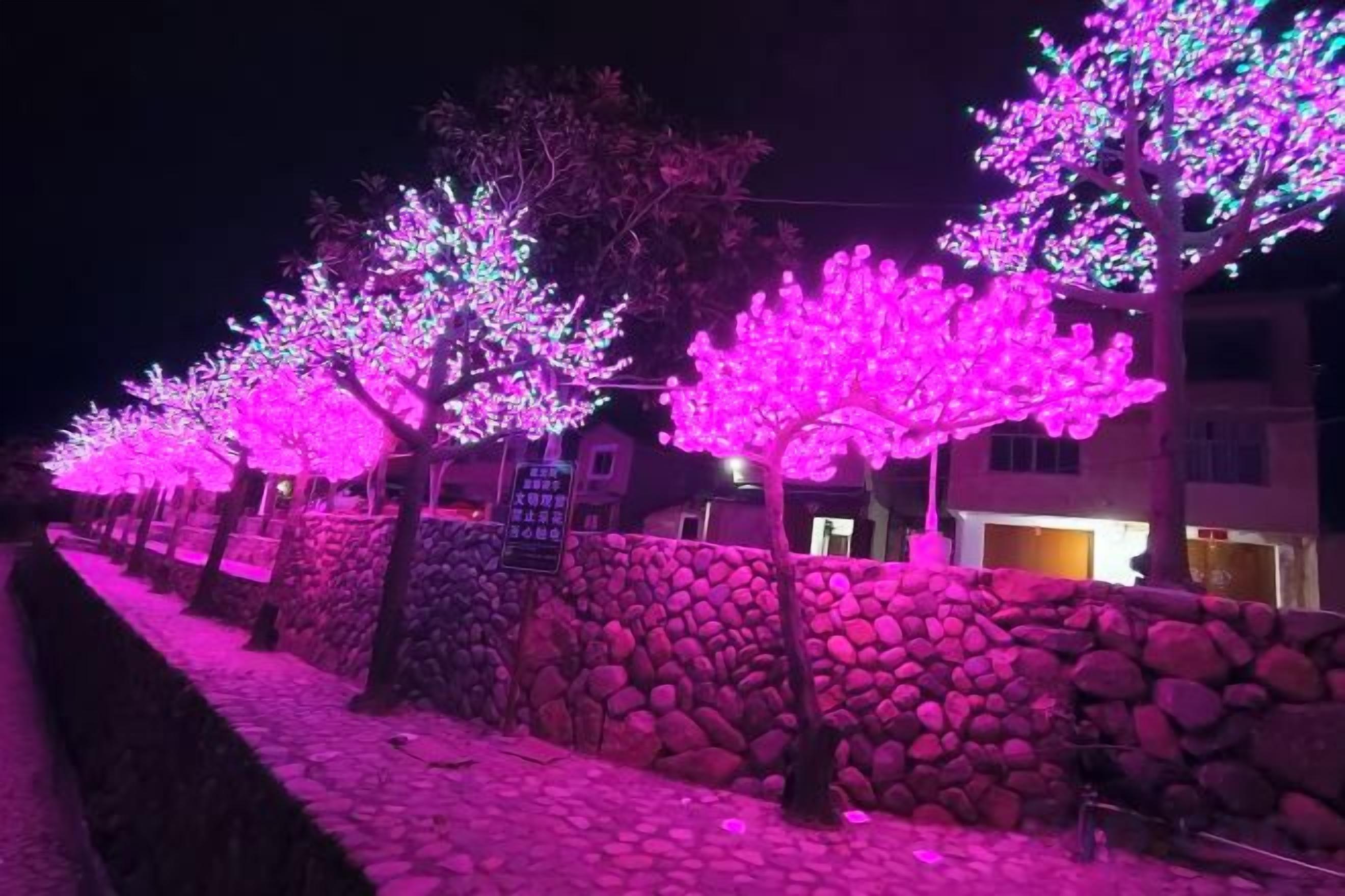 Un sendero bordeado de árboles iluminados con luces rosas, un muro de piedra y un edificio al fondo.