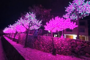 Un sendero bordeado de árboles iluminados con luces rosas, un muro de piedra y un edificio al fondo.