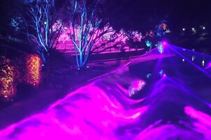 Una escena nocturna con árboles iluminados y un sendero.