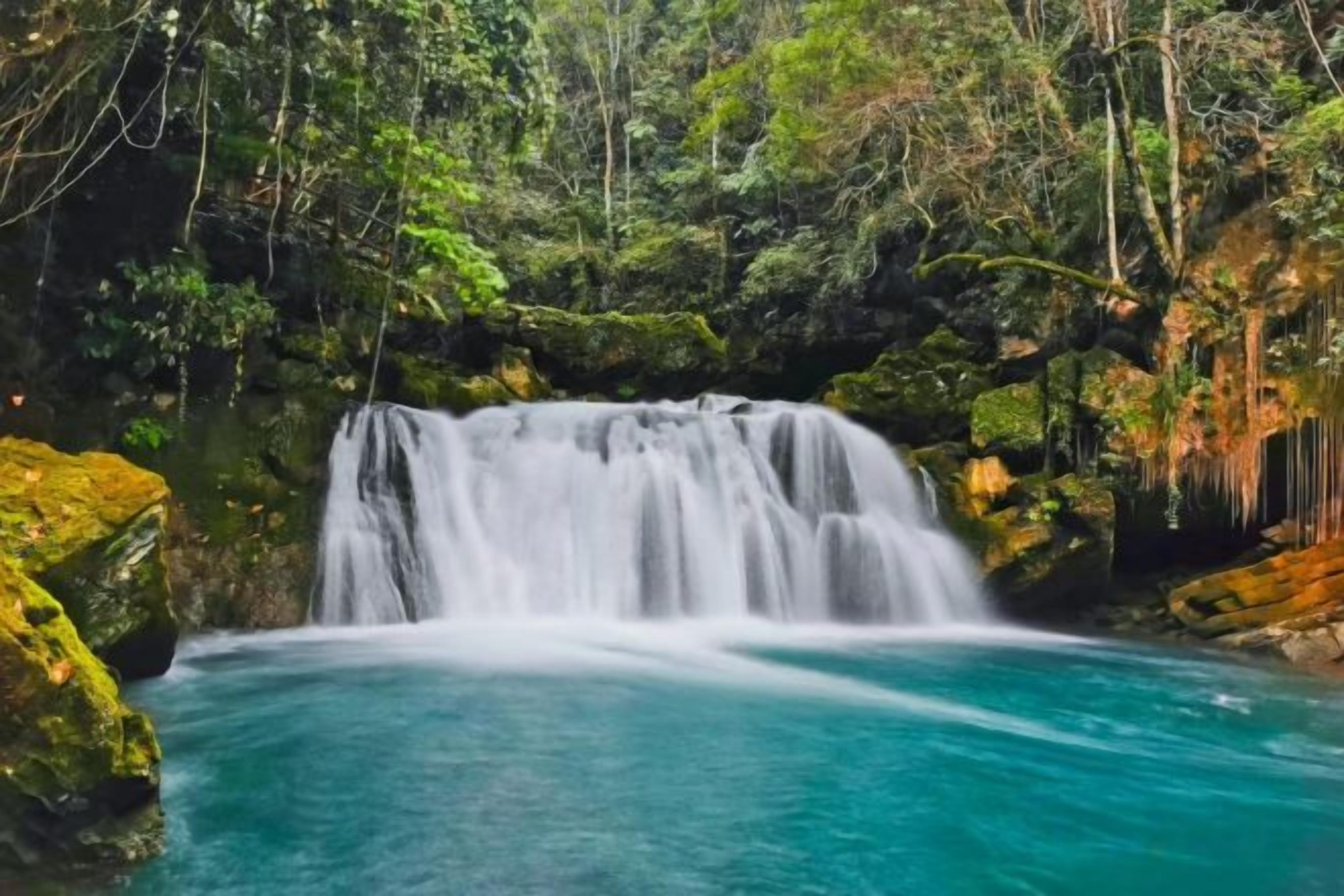 A waterfall in a forested area with clear water.