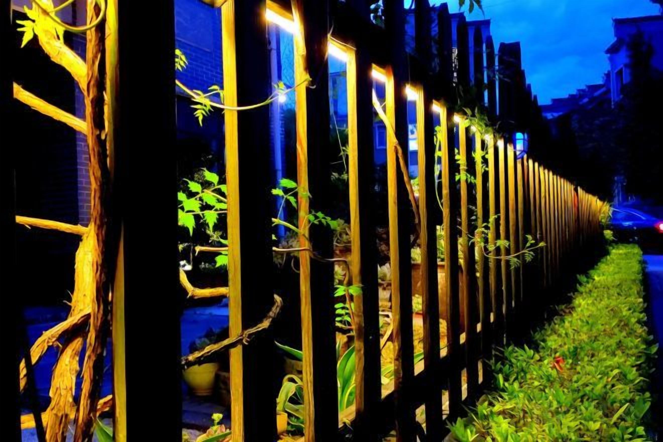 Una fila de ventanas con plantas, un sendero y la fachada de un edificio.