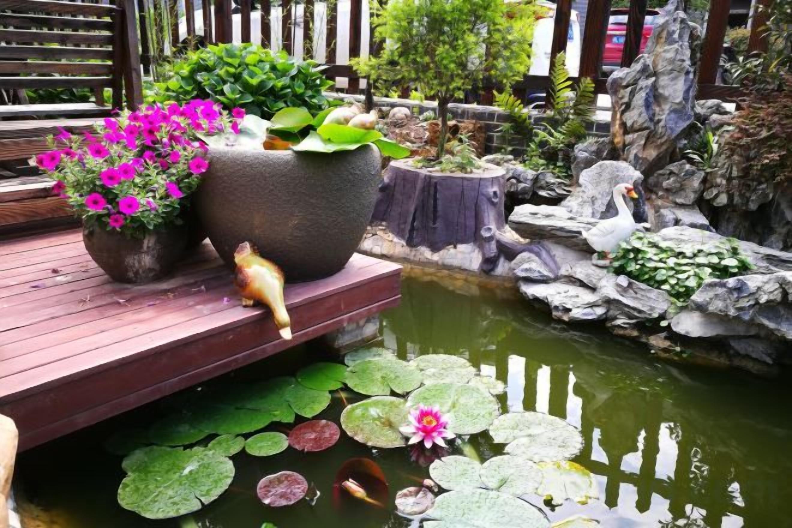 Une terrasse en bois agrémentée de plantes en pot et d’un bassin avec des nénuphars.