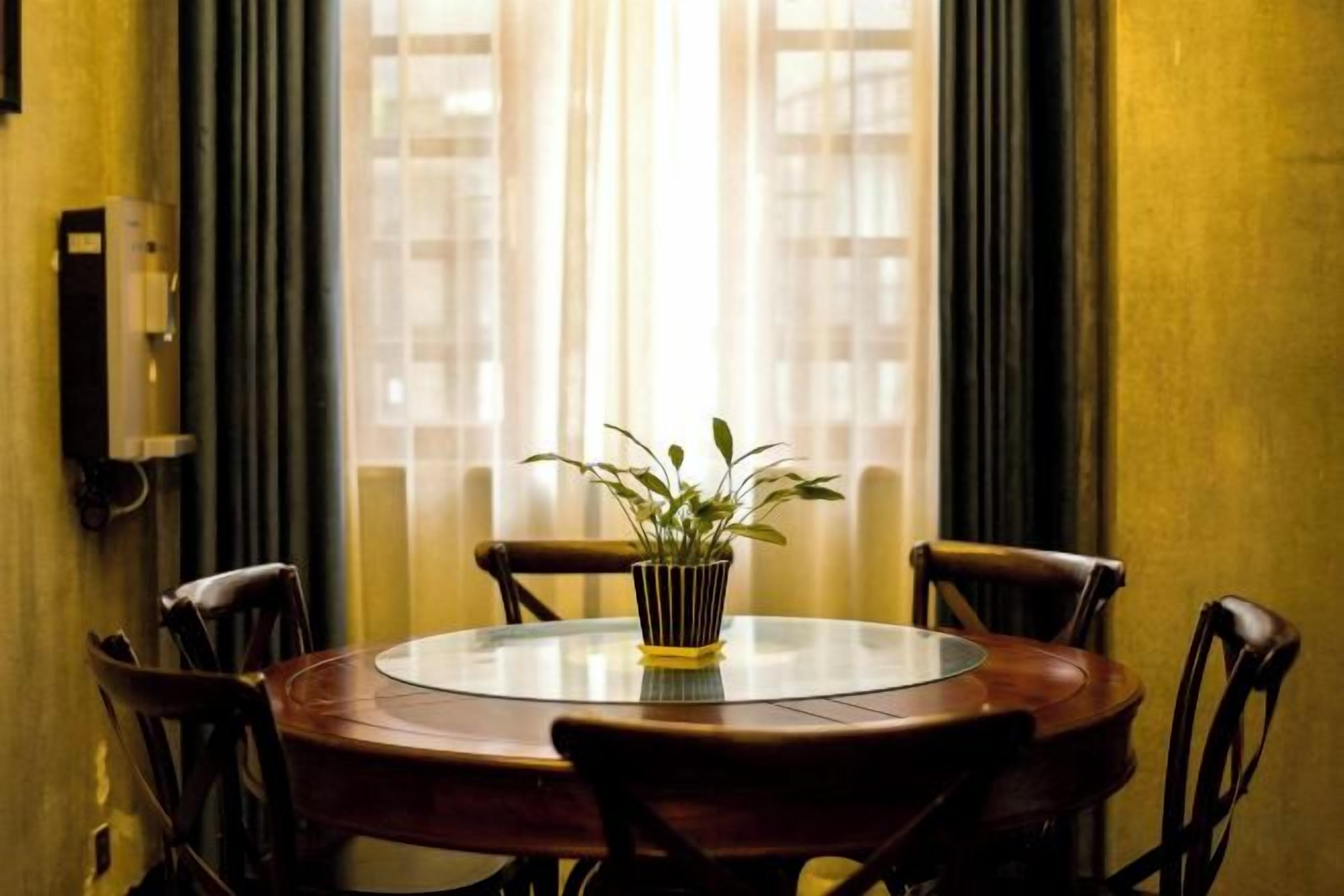 Una mesa redonda con sillas, una planta en maceta y una ventana con cortinas.