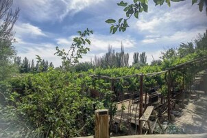 Un espacio exterior rústico con construcciones de madera y una pérgola, rodeado de abundante vegetación.