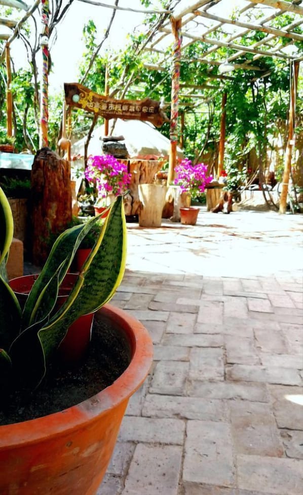 Garden - Anargvl Manor (Turpan)
