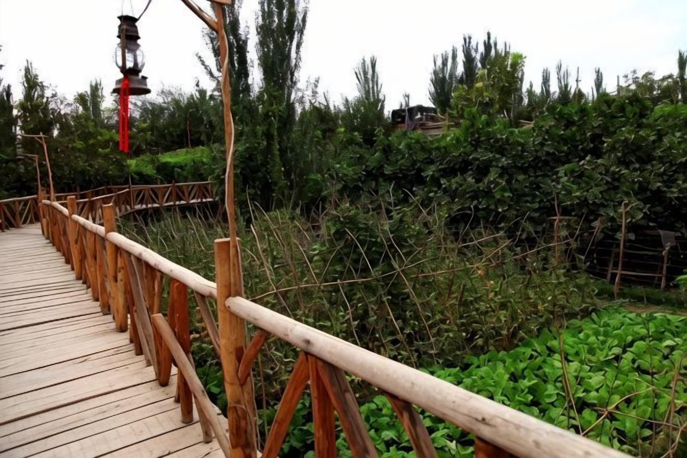 A wooden bridge with railings, surrounded by greenery.