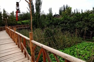 Un puente de madera con barandillas, rodeado de follaje.