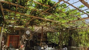 A rustic outdoor seating area with a wooden pergola, tables, chairs, and a rustic decor including a windmill and a large wheel. - Anargvl Manor (Turpan)