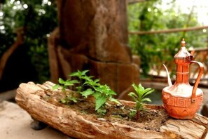 Garden - Anargvl Manor (Turpan)