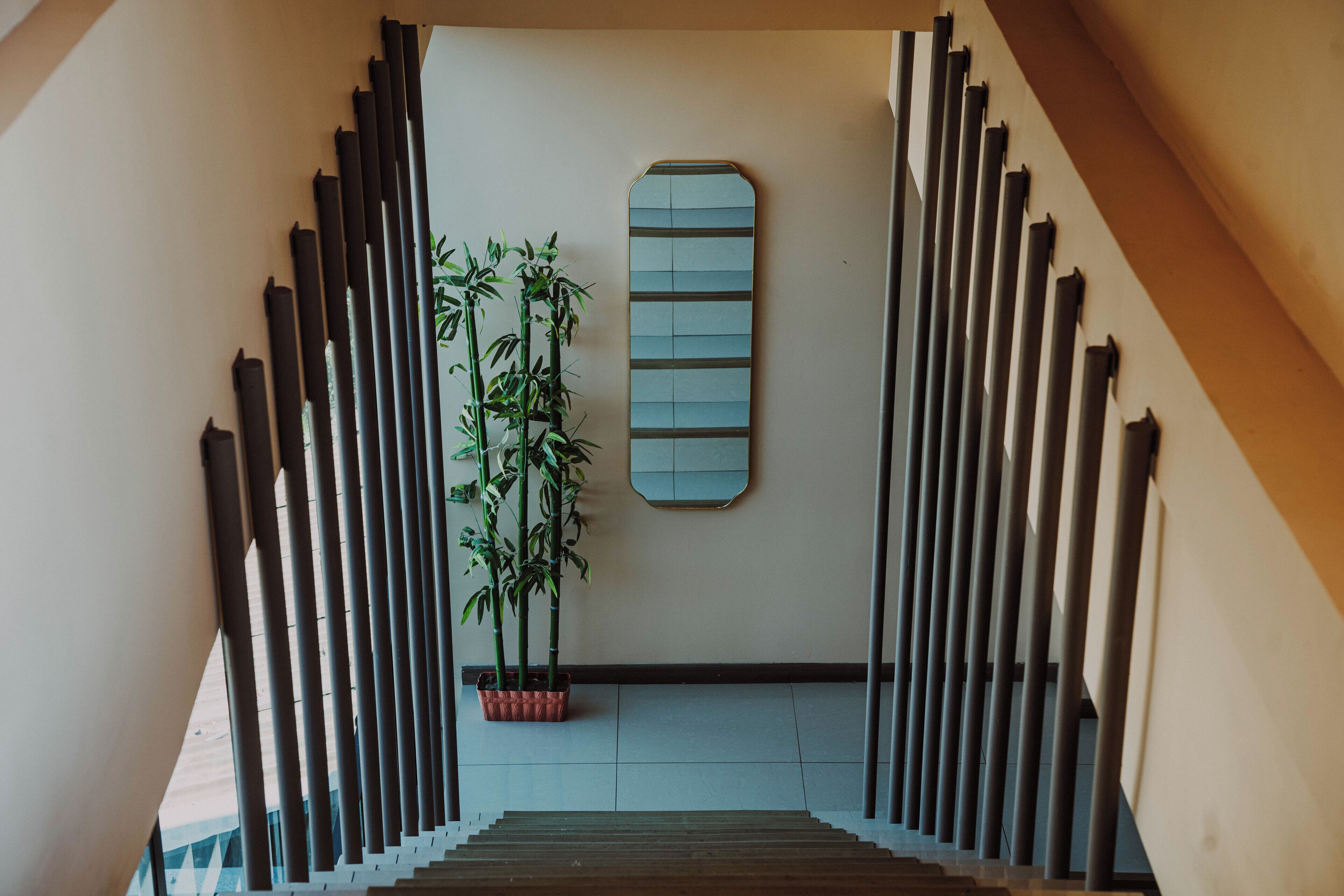 Foto - Hotel Blu