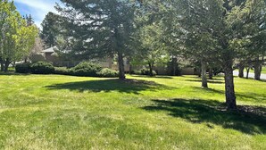 A well-maintained grassy area with mature trees and a building in the background.