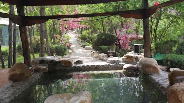 A tranquil garden with a stone pathway, a small pond, and cherry blossoms. - Baodi Spring Town (Fuxin County)