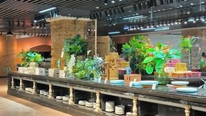 A reception area with a marble counter, potted plants, and a stone wall. - Baodi Spring Town (Fuxin County)