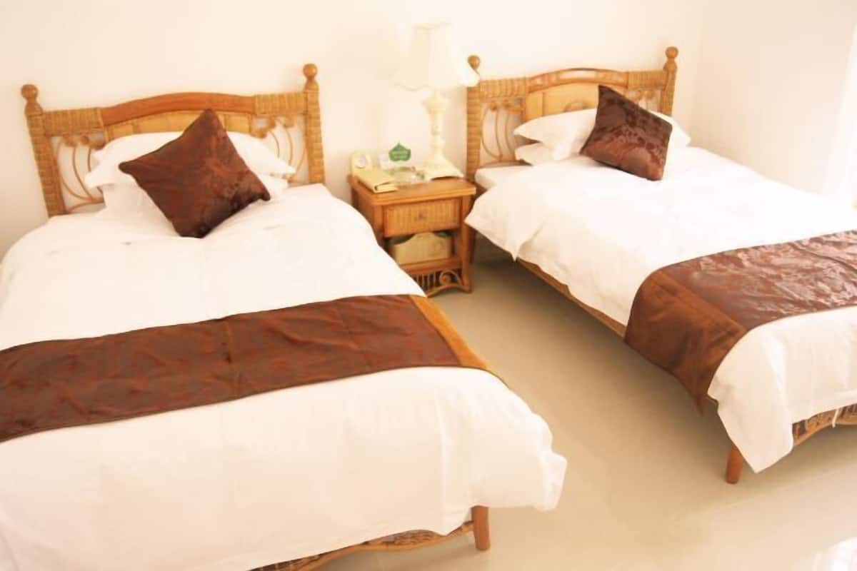 Two single beds with wooden headboards, white bedding, and brown throw blankets.