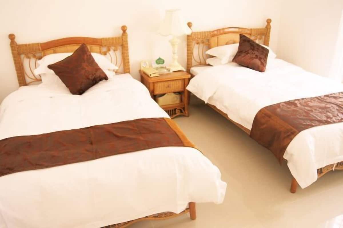 Two wooden beds with white and brown bedding, a nightstand with a lamp, and a small table with a green object.