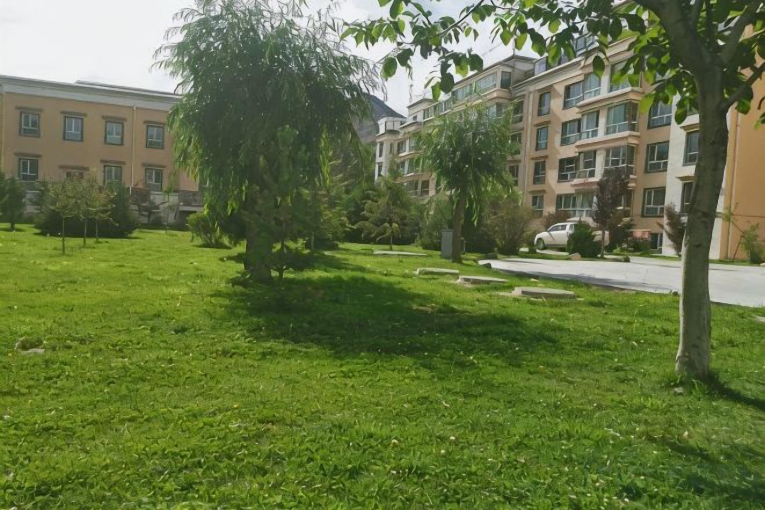 Un patio arbolado con césped y un edificio al fondo.