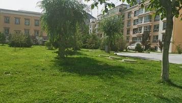 Un patio arbolado con césped y un edificio al fondo.
