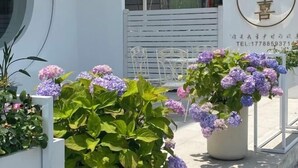 Garden - Huanxi Homestay (Hangzhou)