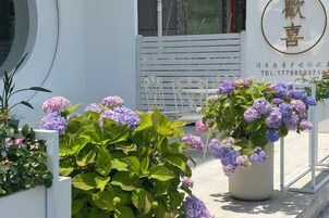 Jardín