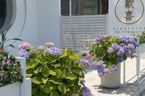 A potted plant with purple flowers in front of a white building with a sign. - Huanxi Homestay (Hangzhou)