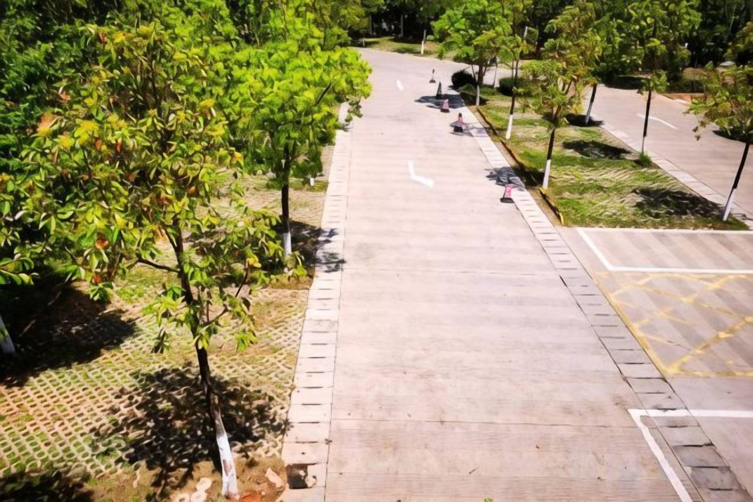 Un chemin pavé bordé d’arbres d’un côté et d’un trottoir de l’autre.
