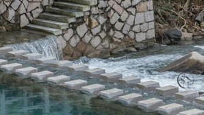 Un escalier en pierre mène à un élément décoratif aquatique agrémenté d’une petite cascade.