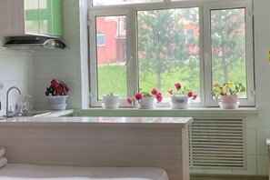 A kitchen with a window, sink, and potted plants.