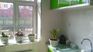 A kitchen with a window, potted plants, and green cabinets. - Yichun Wengxinyuan Family Guesthouse (Tangwang County)