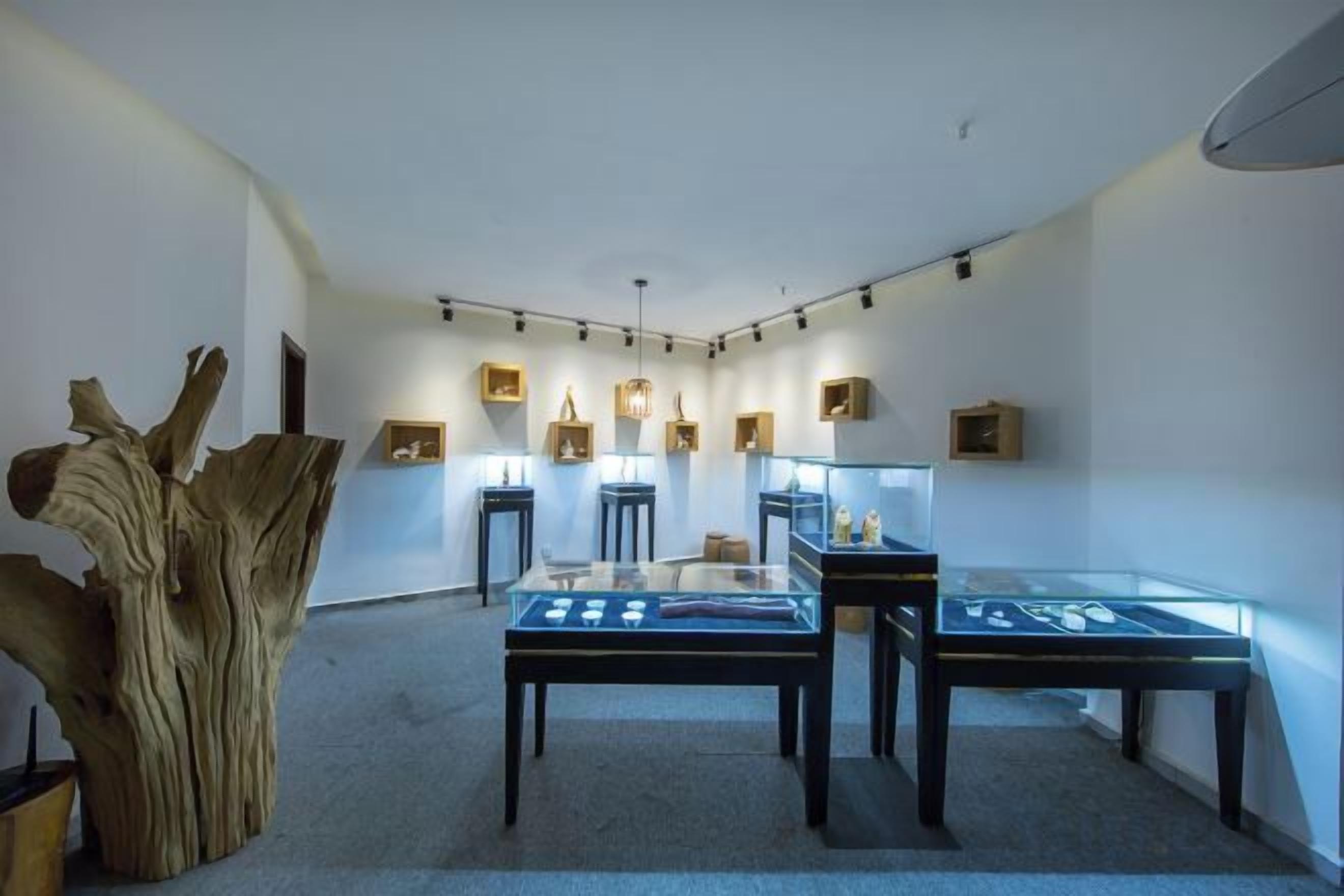 Una galería con vitrinas de vidrio, esculturas de madera y apliques en la pared.