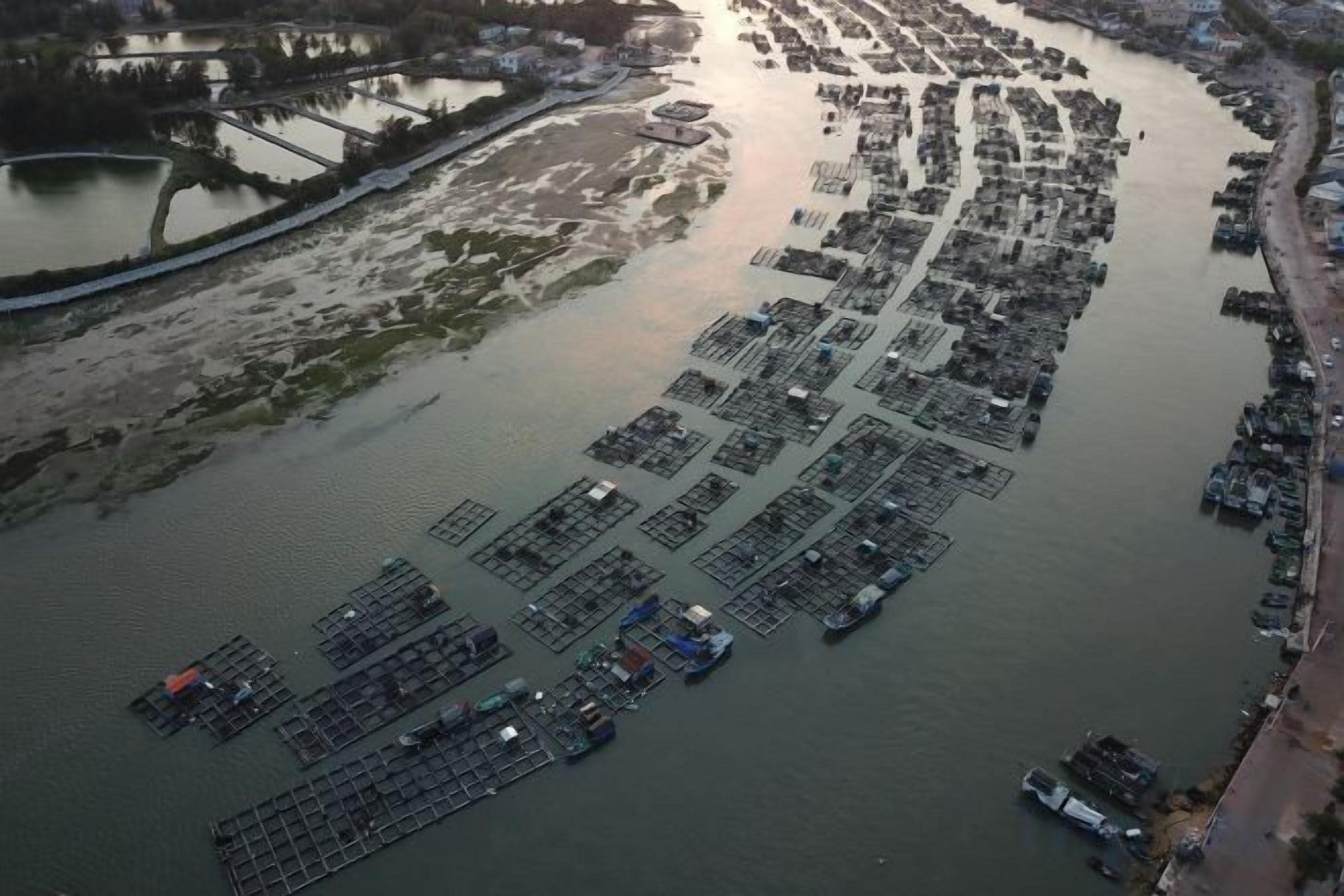 A large body of water with numerous docks and boats.