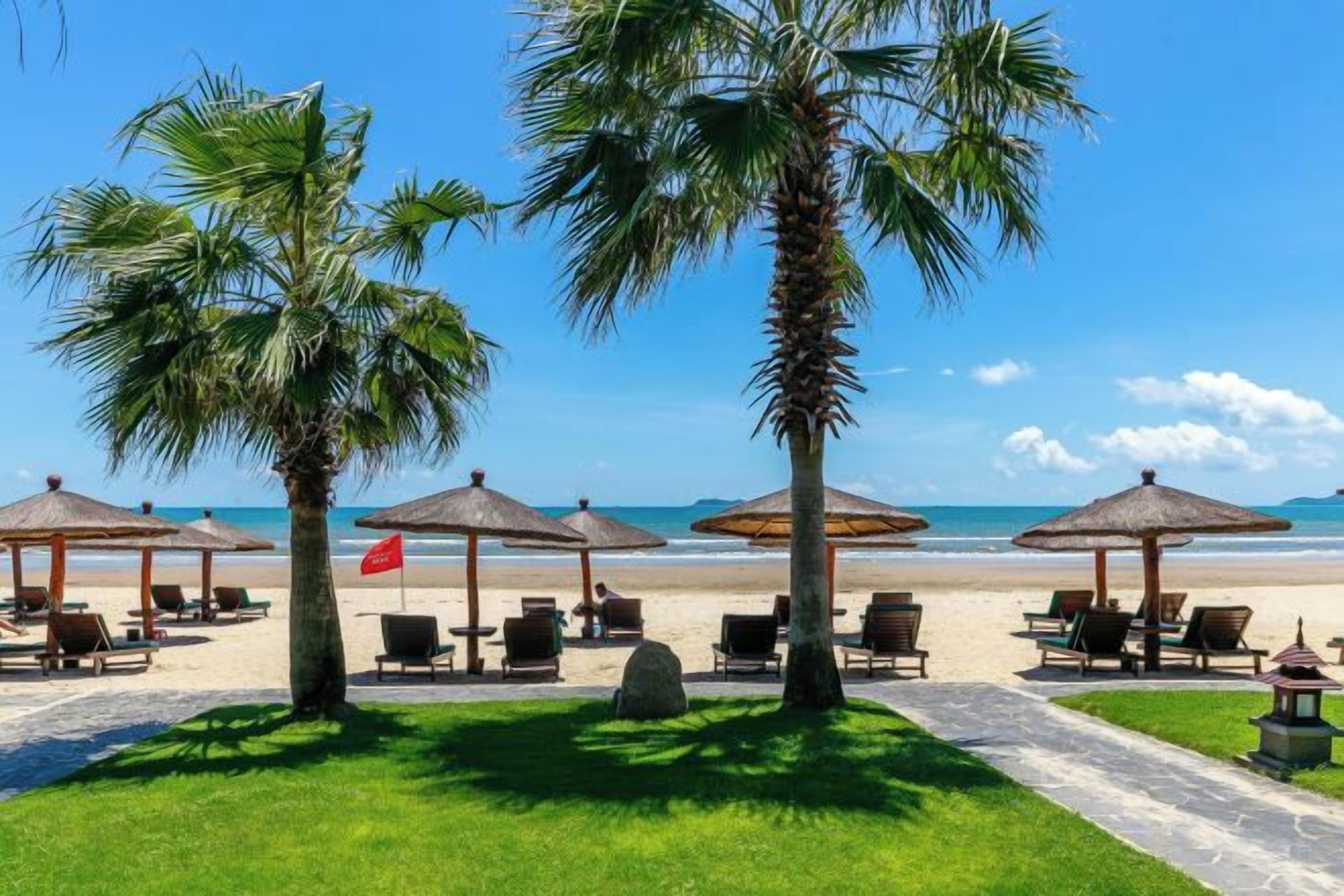 Un resort frente a la playa con palmeras, sillas de playa y sombrillas.