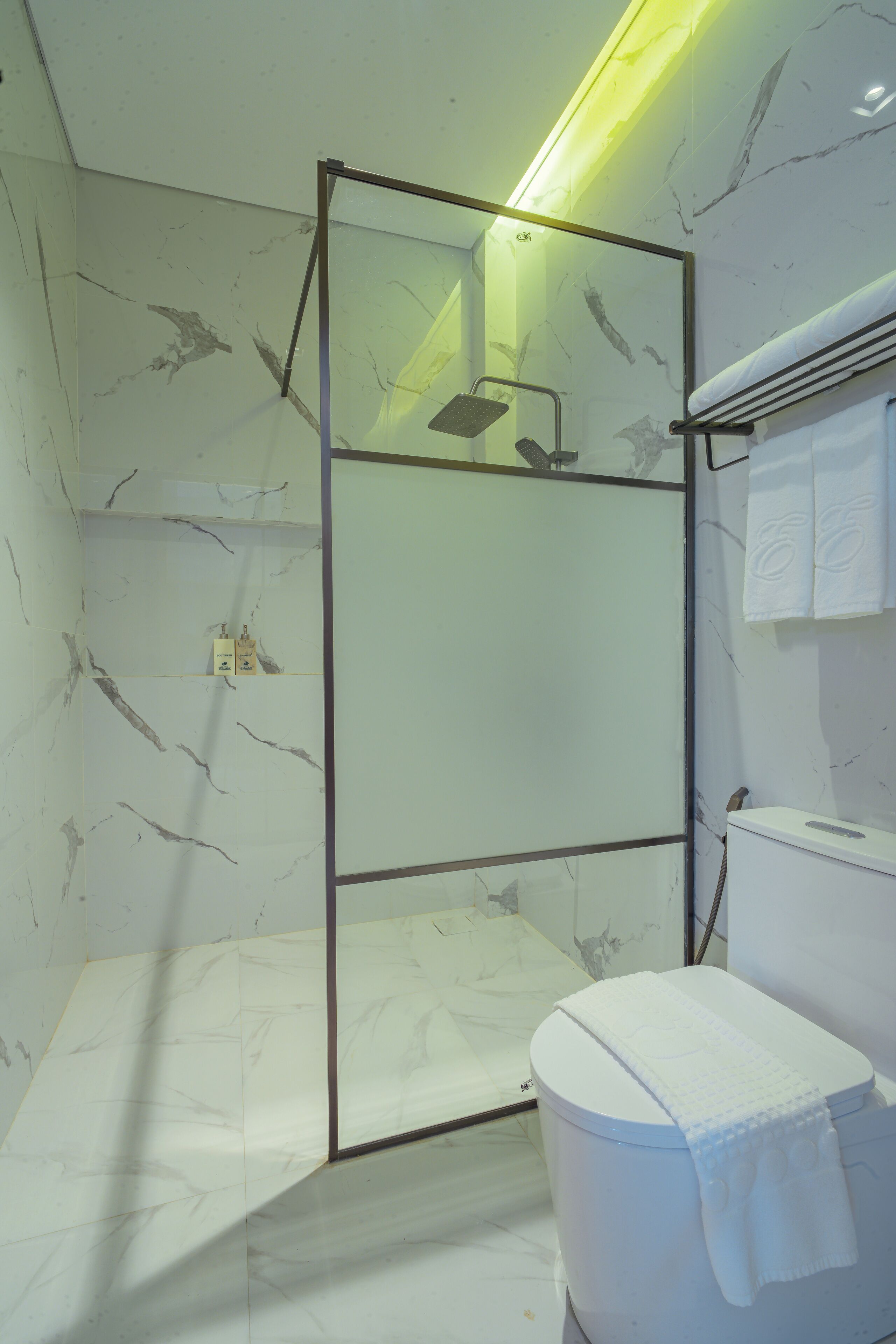 A modern bathroom with a glass shower enclosure, a toilet, and a towel rack.
