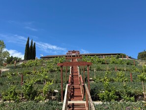 Área da propriedade