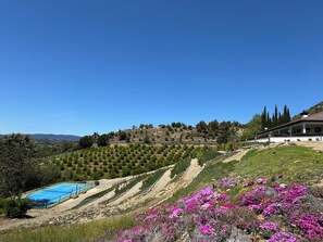 Área da propriedade