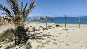 Una spiaggia sabbiosa con una palma e un recinto in legno.