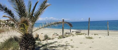 Nära stranden