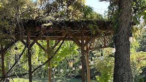 A garden with a wooden pergola, a pond with lily pads, and a stone bench. - Beautiful Modern mountain getaway overlooking water with fountain. (Joplin)