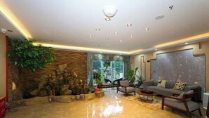 Un salón espacioso con una pared de piedra, una planta grande y un conjunto de sofás.