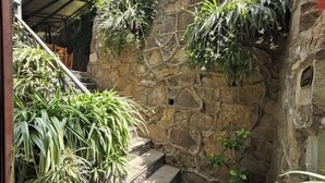 Un muro in pietra con una scalinata che conduce a una porta, circondato da diverse piante verdi.
