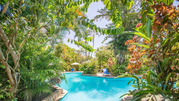 A swimming pool surrounded by lush greenery, with a chair and umbrella in the background. - Room-2br Caribbean Condo In Cabarete Cen (Sosúa)