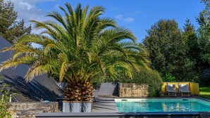 A swimming pool with lounge chairs, a palm tree, and a stone wall.