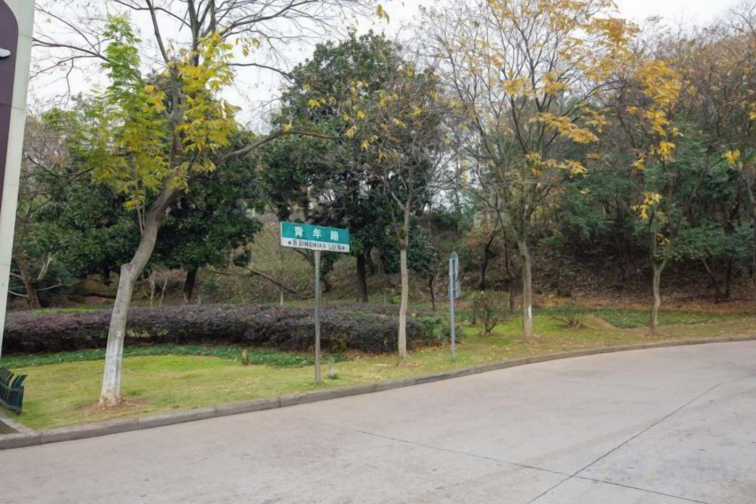 A road sign with text, a sidewalk, and trees.