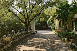 A pathway lined with trees and a fence, leading to a building with a green roof. - Tashan Hotel Pujiang (Pujiang)