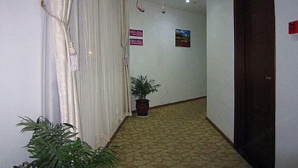 A hallway with a patterned carpet, a potted plant, a door, and a sign on the wall. - Xiangxiu Hostel (Shanghai)