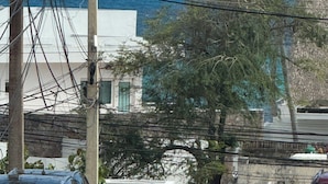 Vistes costaneres amb un pal de serveis, una palmera i un edifici de façana blanca.