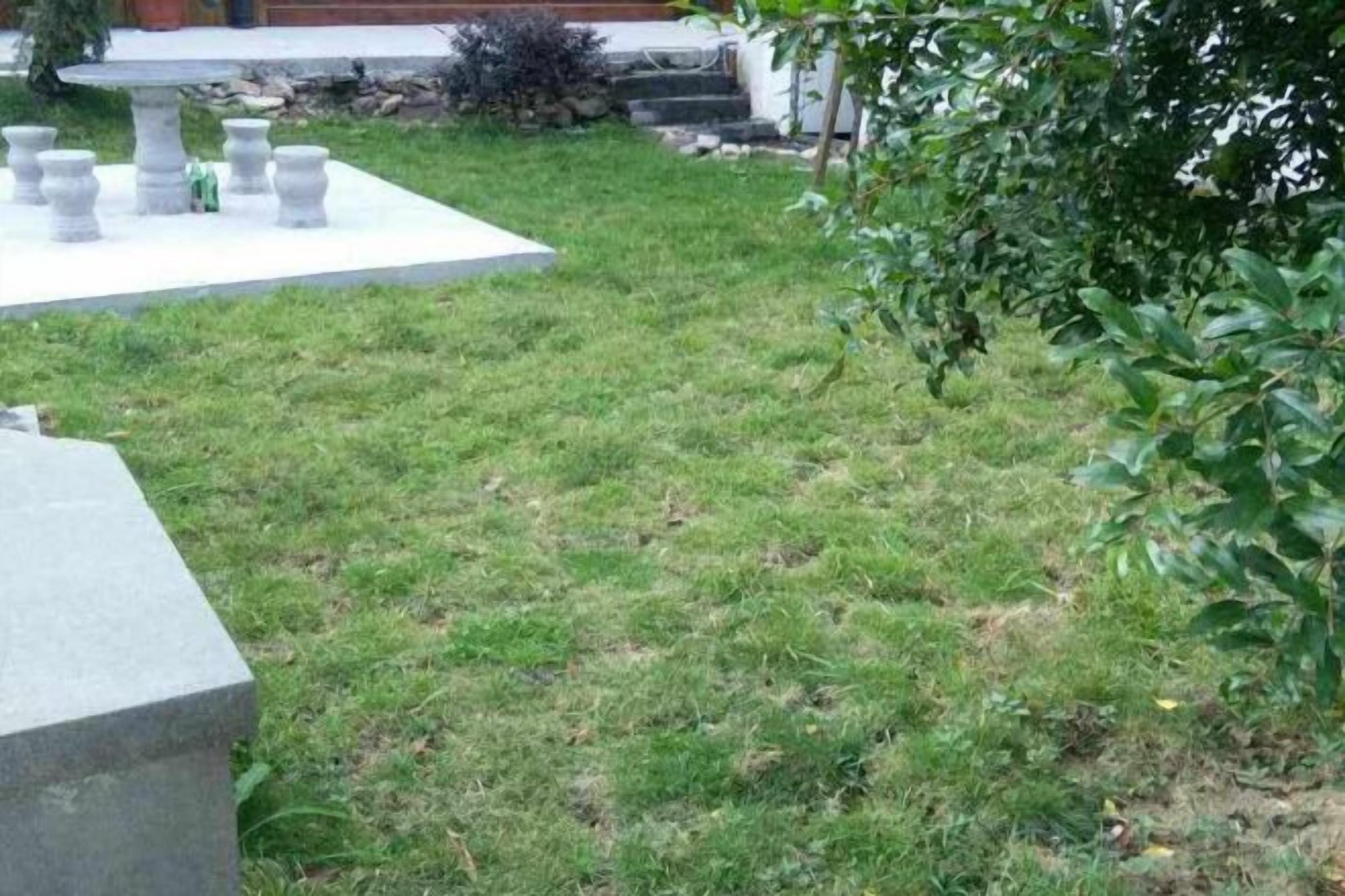 Un espace extérieur verdoyant, avec une structure en pierre et un arbre.