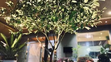 Khuôn viên nơi lưu trú