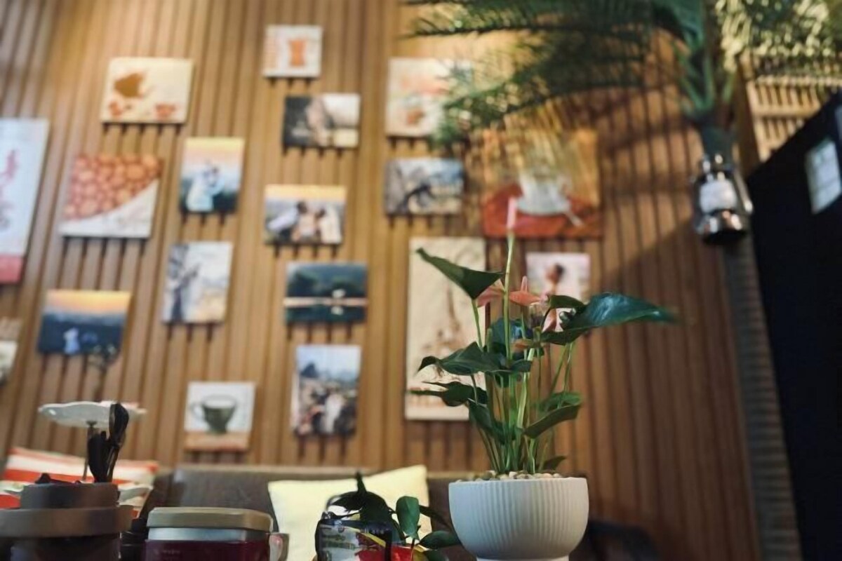 A wall with framed pictures, a potted plant, and a table with a teapot and cups.