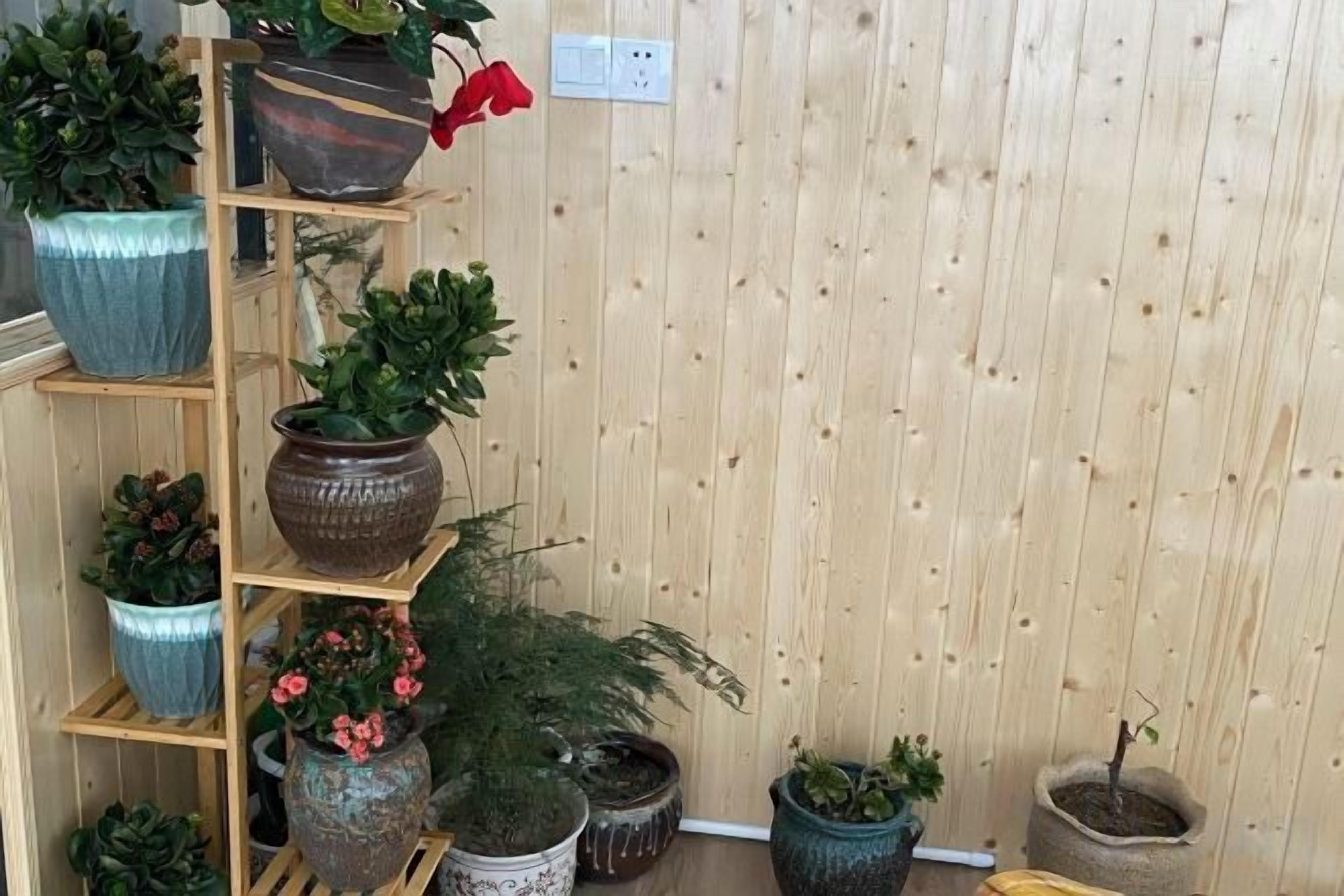A wooden wall with a shelving unit holding various potted plants.